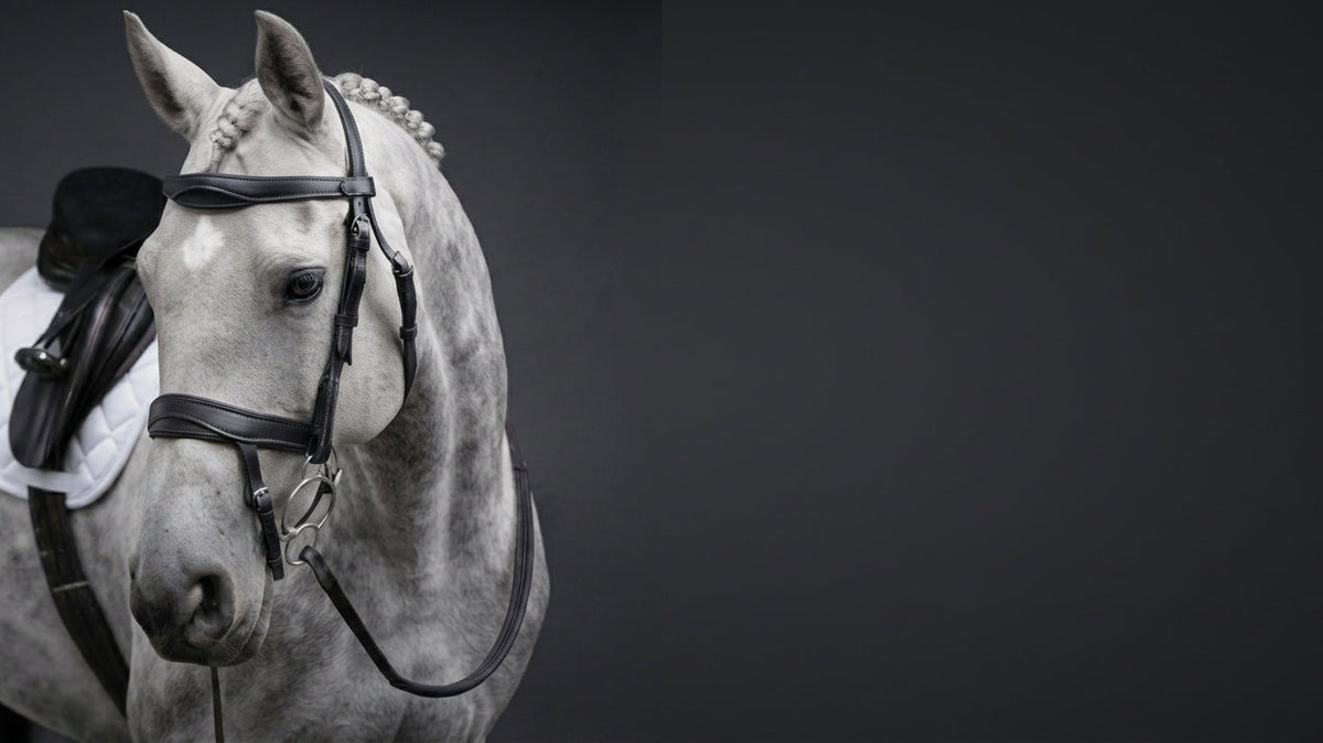 Meet ComfortPro: Thoughtful Leatherwork for Everyday Riding and Competition