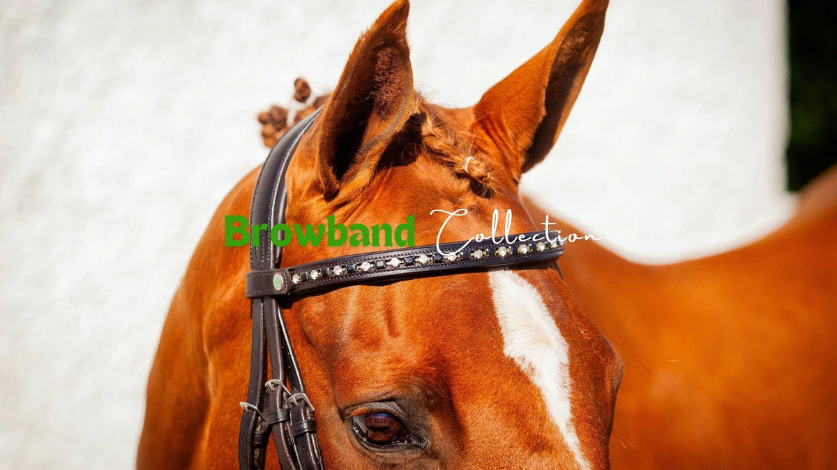 Têtière People On Horses – Champagne Aztèque/Orange CZ, 1 3/4 Endloop, Neuve