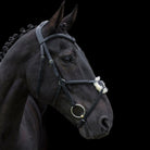 Anatomic Grackle Bridle