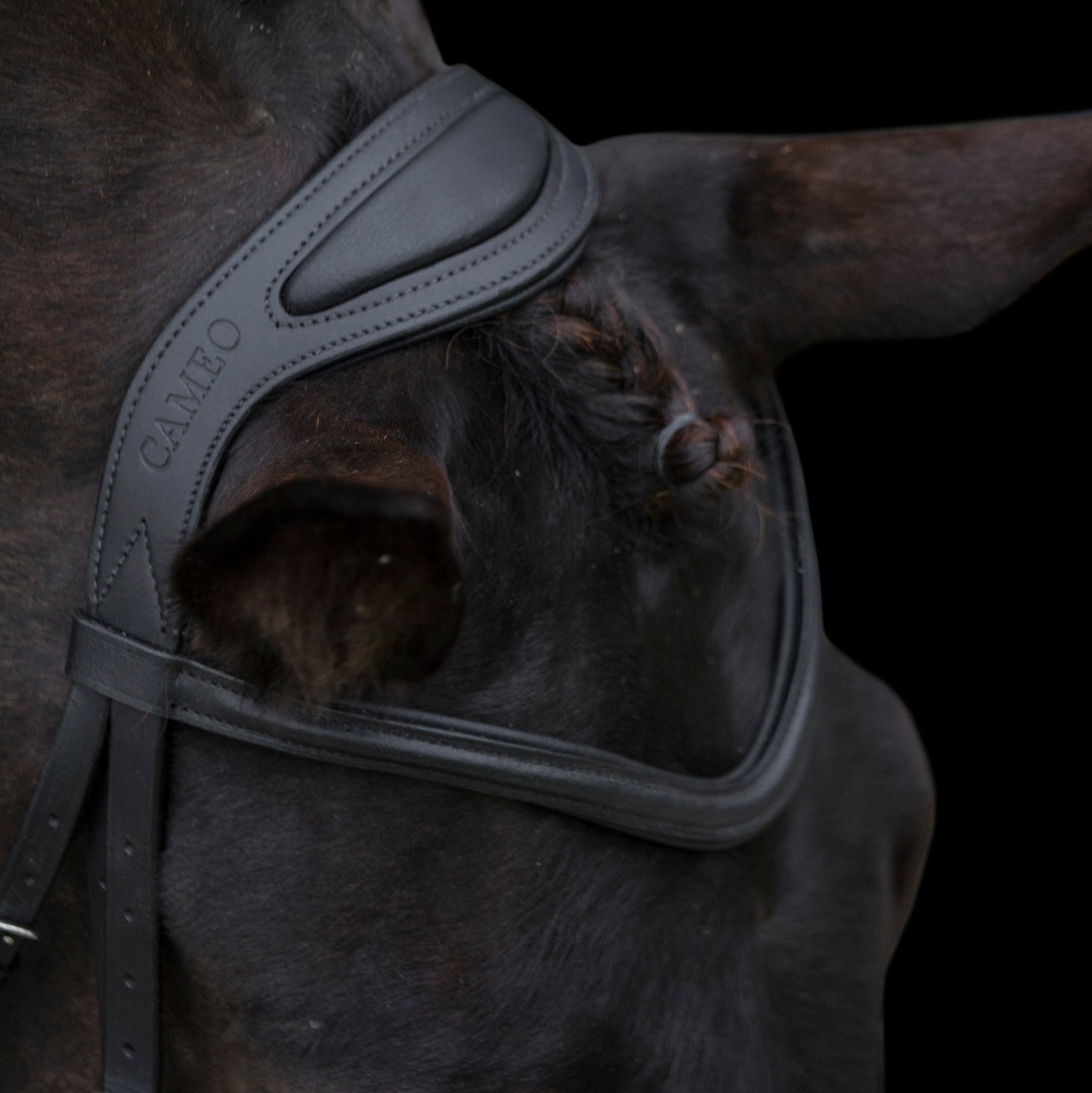 Anatomic Comfort Bridle