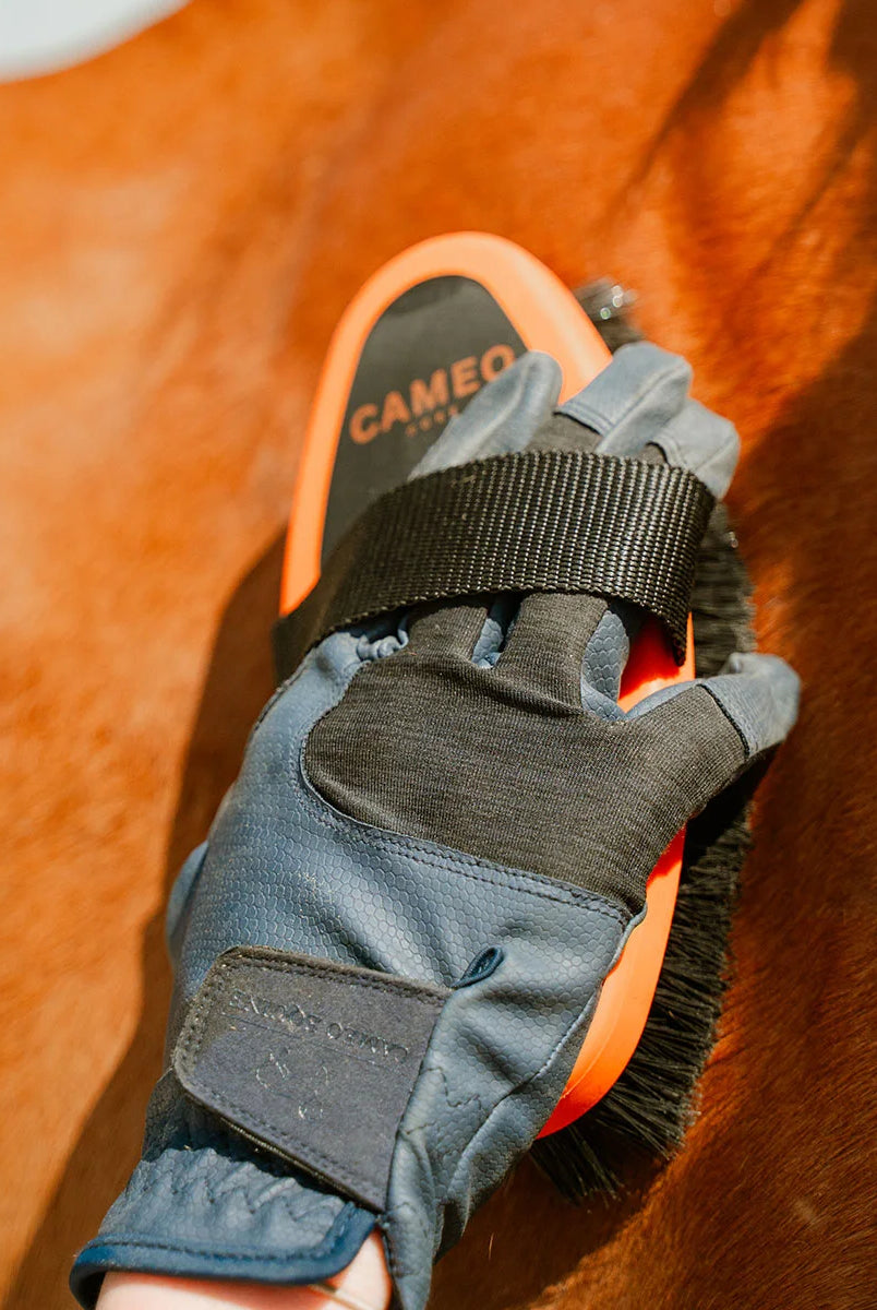 CAMEO Body Brush in Orange in use grooming a chestnut horse coat to sweep away fine dust and enhance natural shine.
