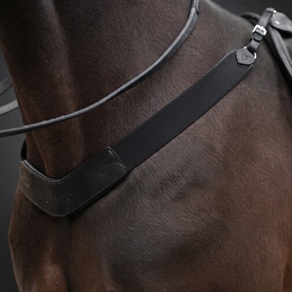 Close-up of a horse's neck and shoulder wearing a black leather bridle strap with silver hardware, showing the CANEO brand embossed on the leather.