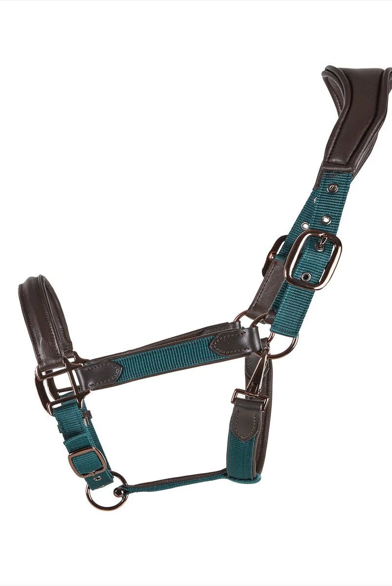 CAMEO ComfortPro Headcollar in Evergreen featuring an anatomical poll-relief crown and padded noseband for horse travel comfort.
