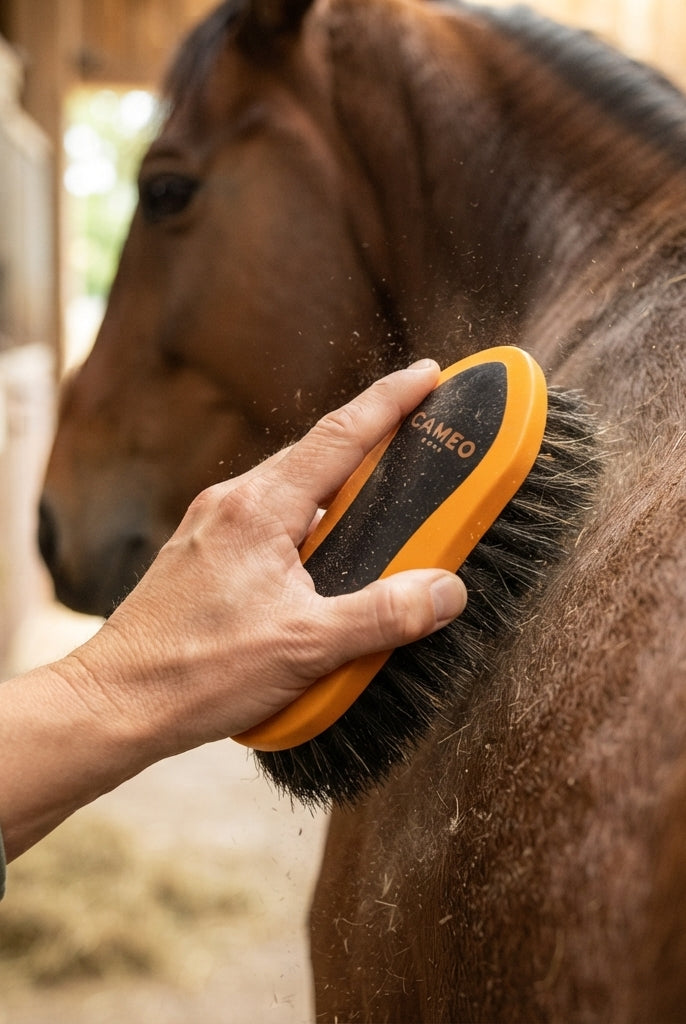 A close-up of a person grooming a brown horse in a stable, using an orange and black horse brush on the horse's neck. The brand name 'SAMPO' is visible on the brush.