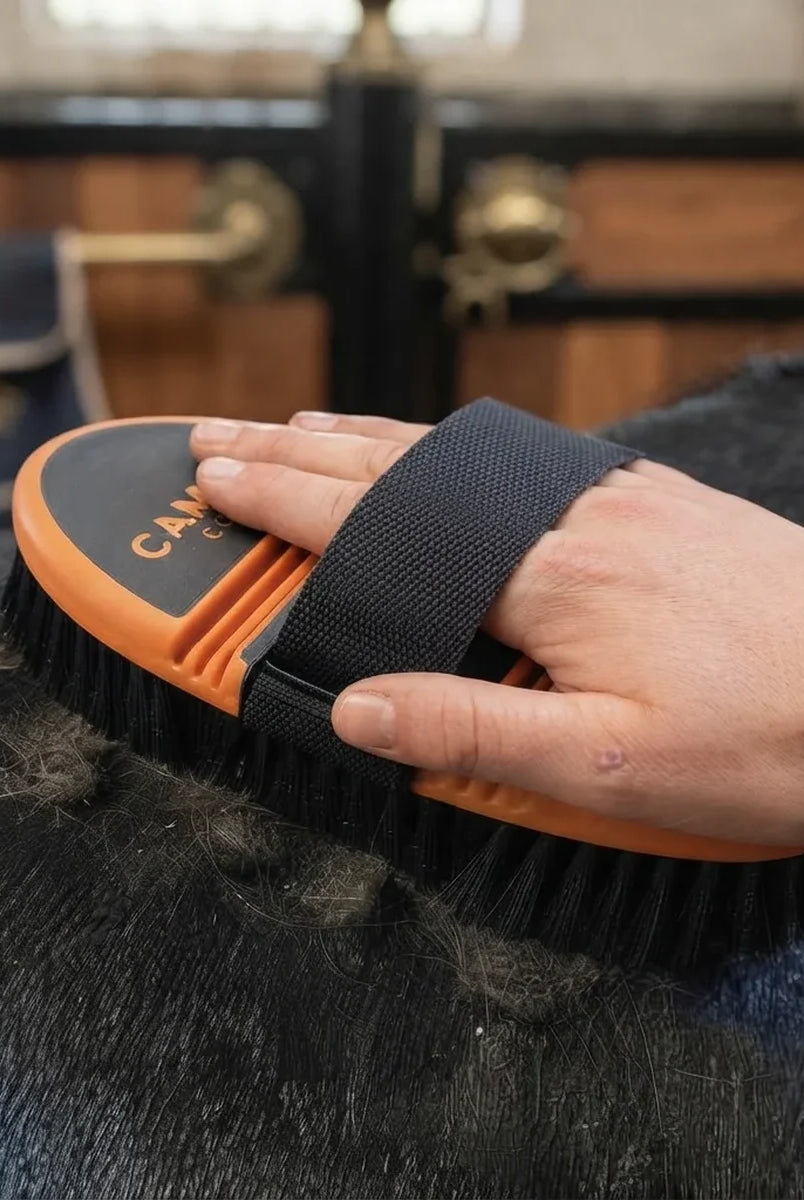 A close-up of a person's hand using an orange and black horse grooming brush on dark horse fur, with a stable interior blurred in the background.