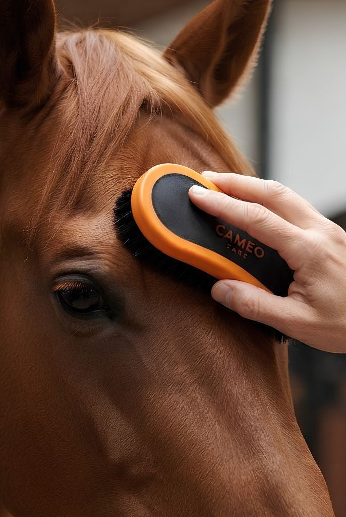 A premium product photo showing a hand gently brushing the forehead of a chestnut horse with the black and orange CAMEO grooming brush.