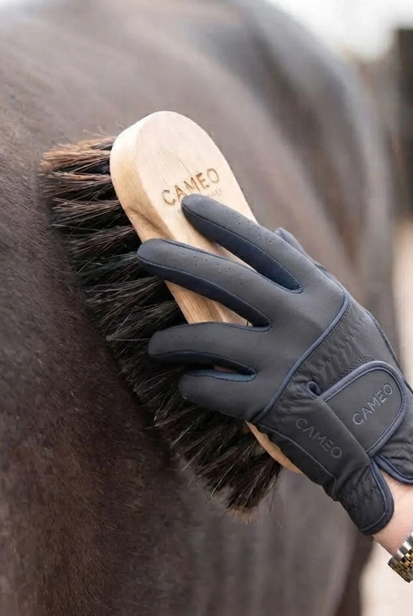 A person wearing a dark gray protective horse grooming glove brushes a dark brown horse's coat with a wooden-handled brush. The brand name CANEO is visible on both the glove and the brush.