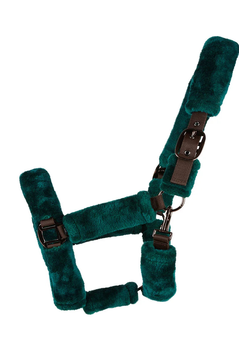 CAMEO Deluxe Headcollar in EverGreen featuring thick anti-rub fleece padding and Cacao anti-rust hardware for travel comfort.