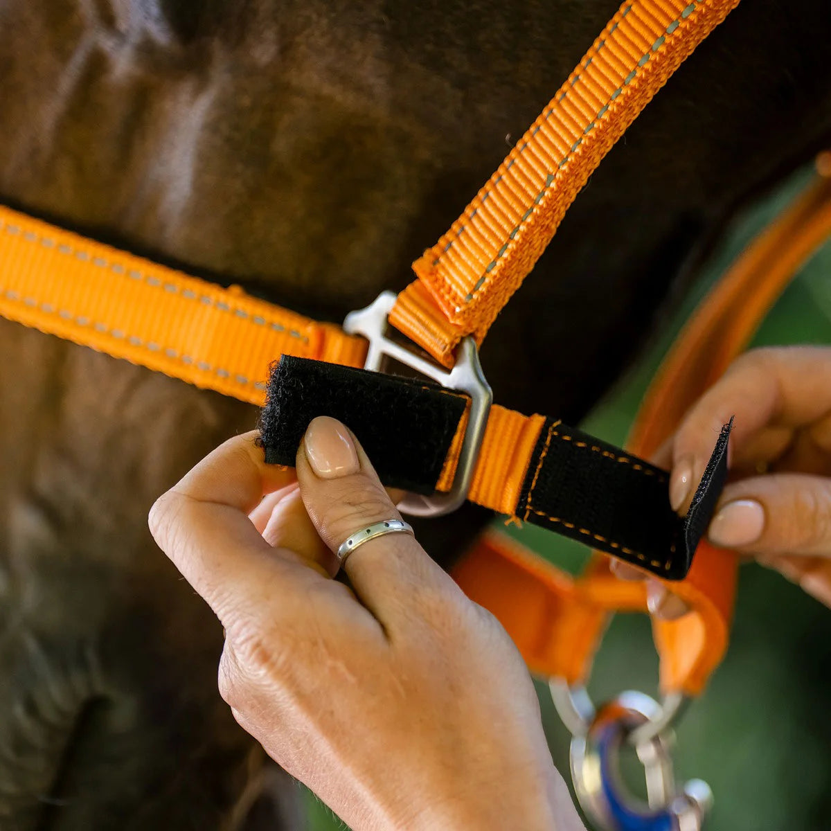CAMEO FieldSafe Headcollar in Orange/Reflective showing a hands-on close-up of the quick-release touch-tape safety breakpoint, engineered with dual reflective webbing to prevent paddock entrapment and neck injury during horse turnout.
