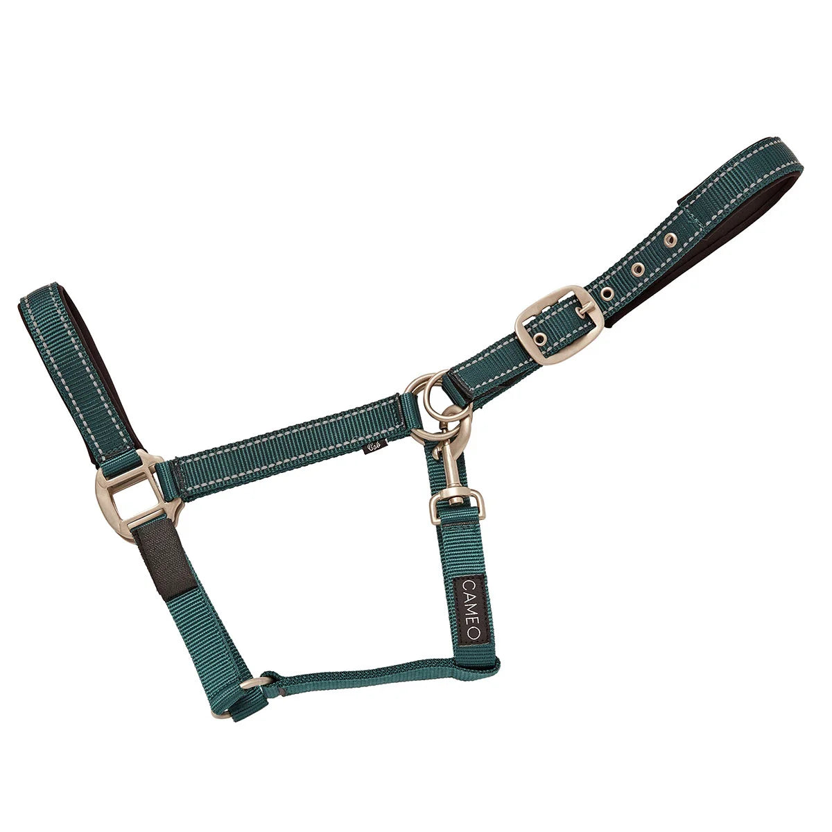 CAMEO FieldSafe Headcollar in Hunter Green/Reflective showcasing dual woven reflective stripes, anti-rub neoprene padding, and 2-in-1 breakaway safety tabs engineered for low-light night visibility, paddock protection, and daily stable handling.