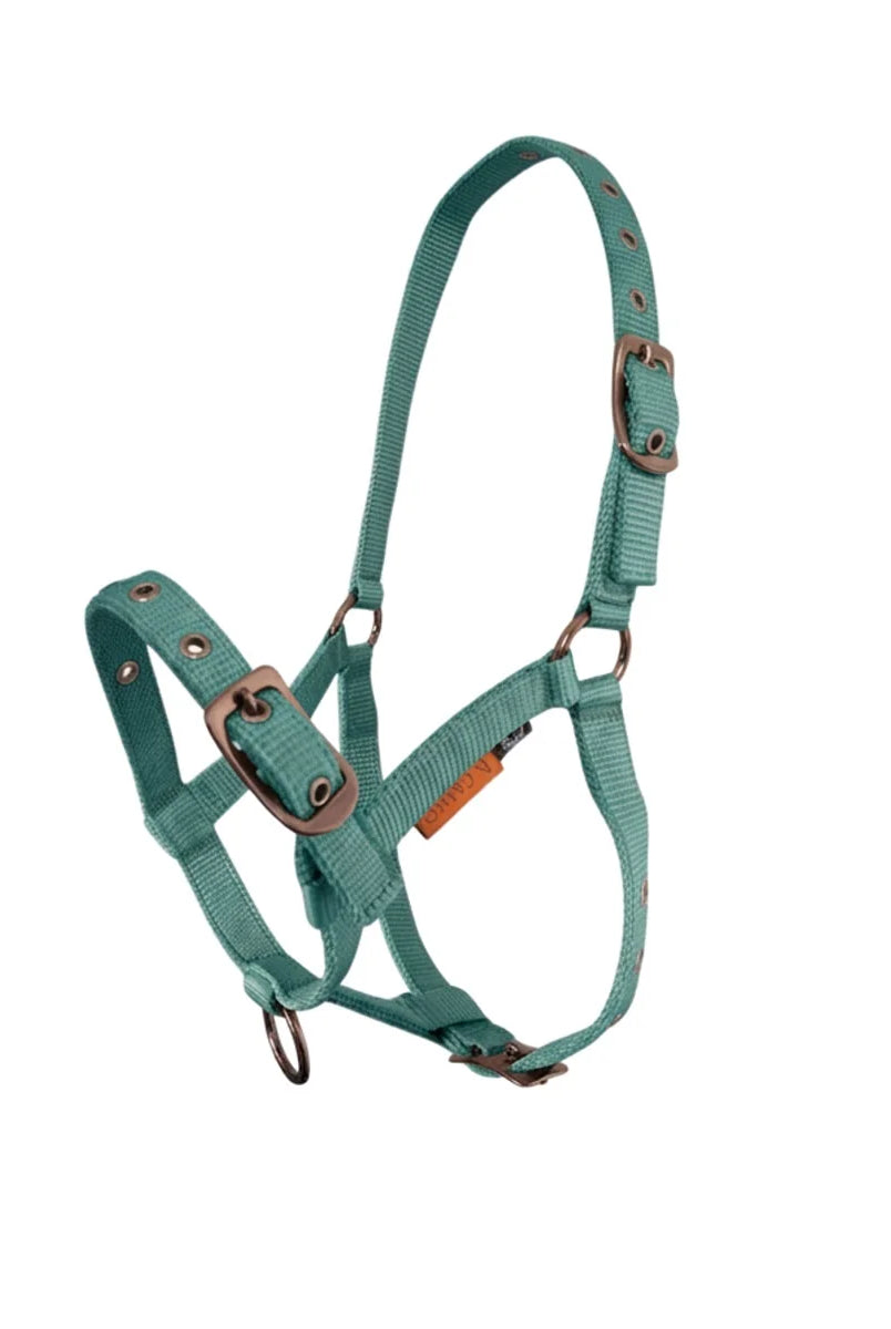 CAMEO Foal Headcollar in Evergreen shown on a white background, showcasing the 3-way multi-adjustable buckle points, reinforced metal eyelets, soft-touch poly-webbing, and Cacao bronze-tone hardware engineered for custom youngstock growth, non-chafing comfort, and gentle early halter training.