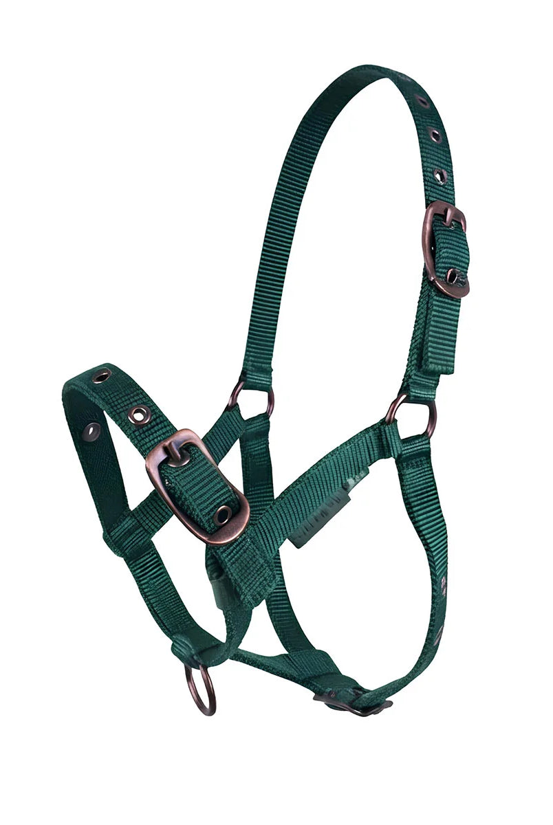 CAMEO Foal Headcollar in Evergreen shown on a white background, showcasing the 3-way multi-adjustable buckle points, reinforced metal eyelets, soft-touch poly-webbing, and Cacao bronze-tone fittings engineered for custom youngstock growth, non-chafing comfort, and gentle early halter training.
