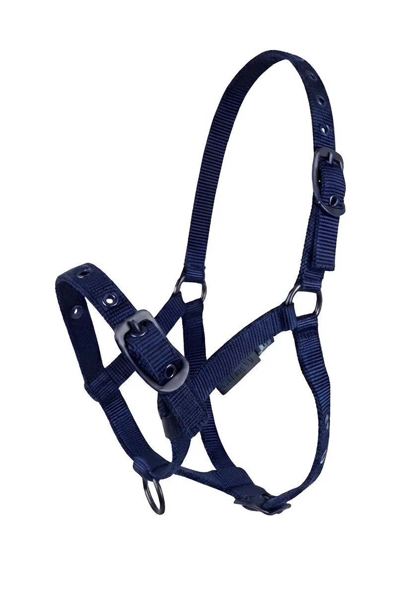 CAMEO Foal Headcollar in Navy shown on a white background, showcasing the 3-way multi-adjustable buckle points, reinforced metal eyelets, soft-touch poly-webbing, and matte black hardware engineered for custom youngstock growth, non-chafing comfort, and gentle early halter training and turnout.