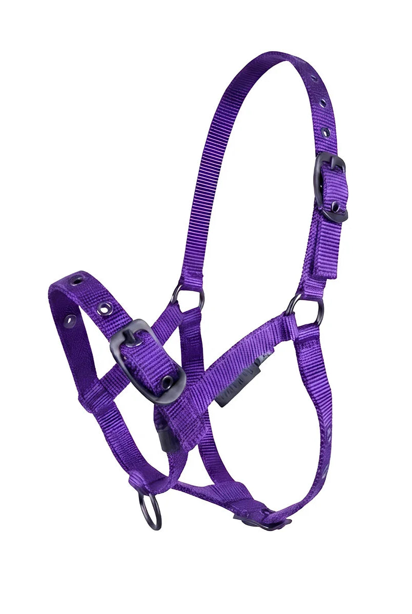CAMEO Foal Headcollar in Purple shown on a white background, showcasing the 3-way multi-adjustable buckle points, reinforced metal eyelets, soft-touch poly-webbing, and matte black hardware engineered for custom youngstock growth, non-chafing comfort, and gentle early halter training and turnout.