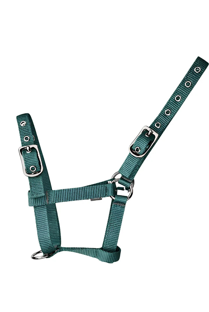 CAMEO Foal Headcollar in Evergreen shown flat-lay, showcasing the 3-way multi-adjustable buckle points, extended multi-hole crown strap, reinforced metal eyelets, and anti-rust hardware engineered for custom youngstock growth, non-chafing comfort, and gentle early halter training and turnout.