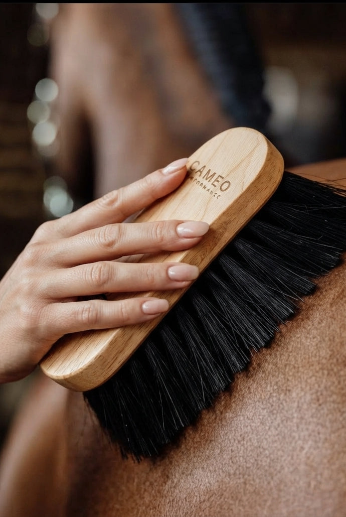 An in-use product shot of the CAMEO PERFORMANCE flick brush featuring dense, dark bristles and a polished wooden back stamped with the brand logo, being used to groom the coat of a horse in a stable setting.