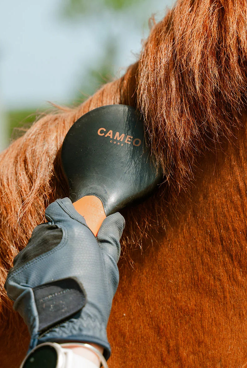 CAMEO Mane & Tail Brush in Orange in use detangling a chestnut horse mane smoothly without pulling or snapping hairs.