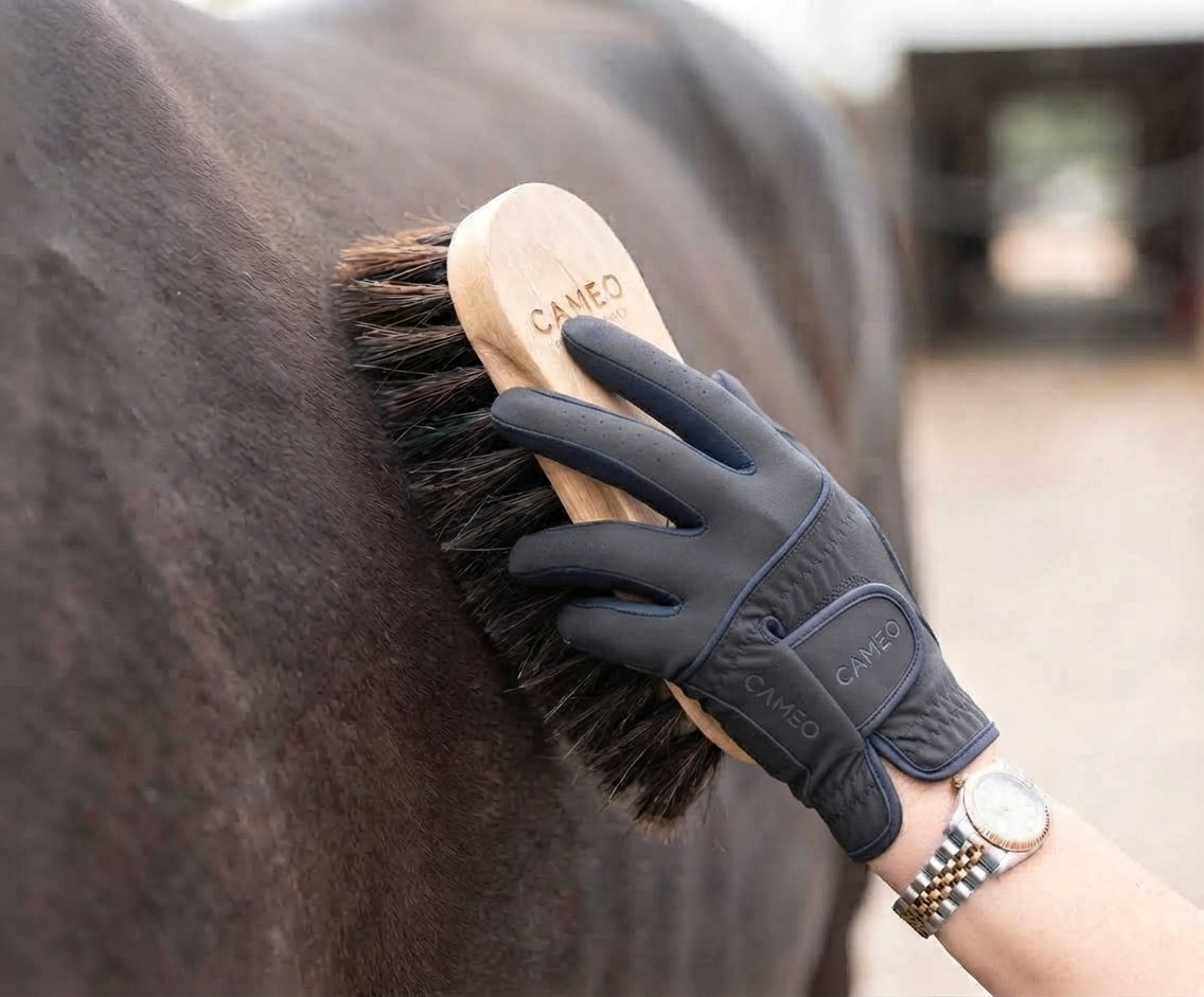A close-up photograph shows a gloved hand, wearing a dark grey equestrian glove with 'CAMEO' branding on the wrist strap and knuckles, holding a wooden brush against the dark brown coat of a horse. The brush has dark, stiff bristles and is clearly marked with the 'CAMEO' logo on its wooden back. A two-tone watch (gold and silver) is visible on the wrist above the glove. The background is a softly blurred view of a stable aisle