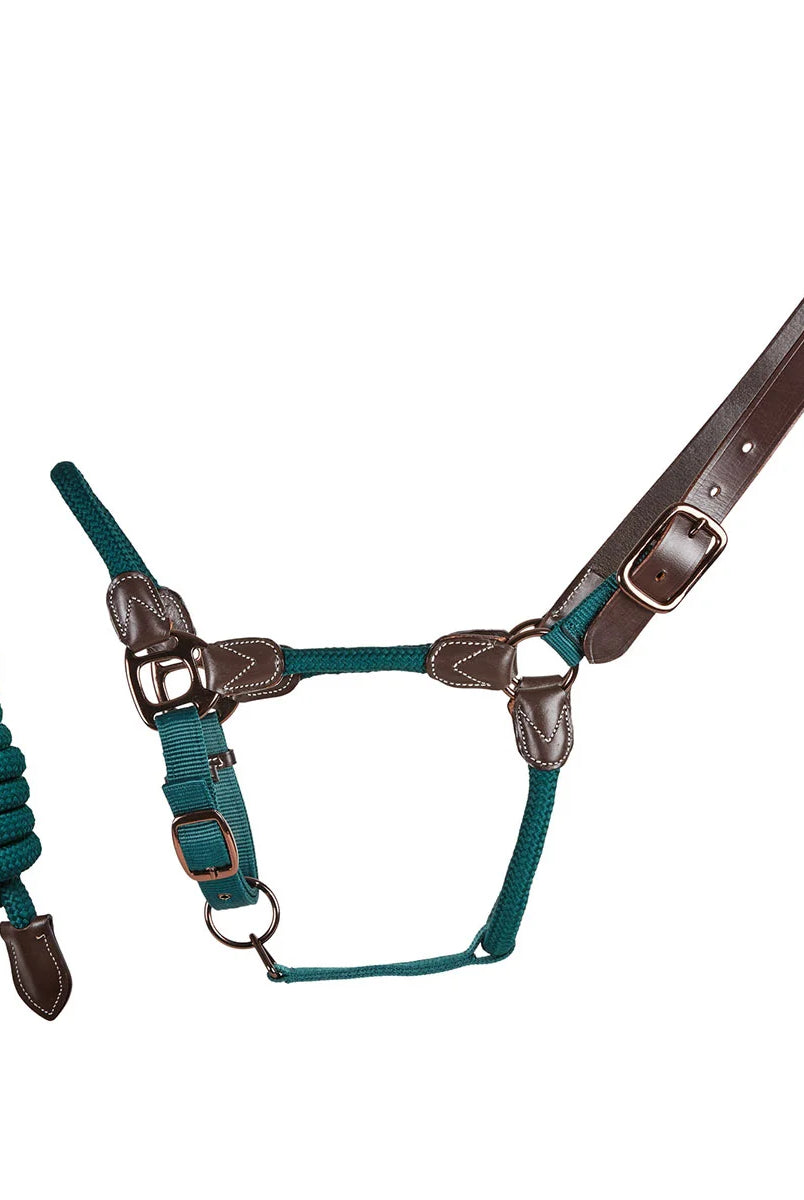 CAMEO Rope Leather Headcollar and Leadrope in Evergreen showcasing braided green yachting rope, brown leather poll strap, and bronze fittings, complete with a matching coiled leadrope and trigger clip for sensitive groundwork control and stableyard travel.