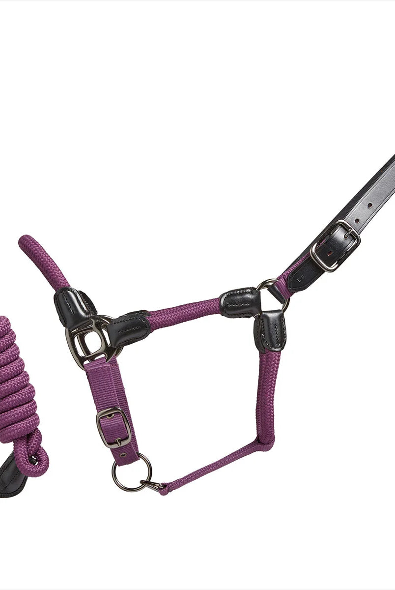 CAMEO Rope Leather Headcollar and Leadrope in Deep Purple showcasing braided yachting rope, black leather poll strap, and gunmetal hardware, complete with a matching coiled leadrope and trigger clip for sensitive groundwork control and stableyard travel.