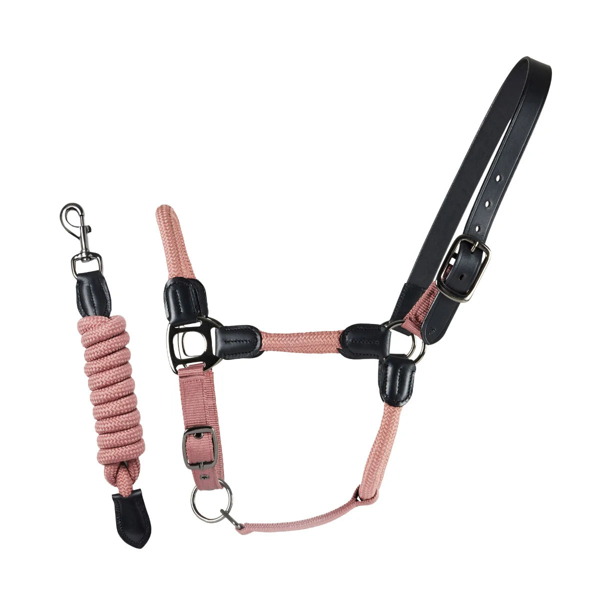 CAMEO Rope Leather Headcollar and Leadrope in Dusky Pink showcasing braided yachting rope, black leather poll strap, and gunmetal hardware, complete with a matching coiled leadrope and trigger clip for sensitive groundwork control and stableyard travel.