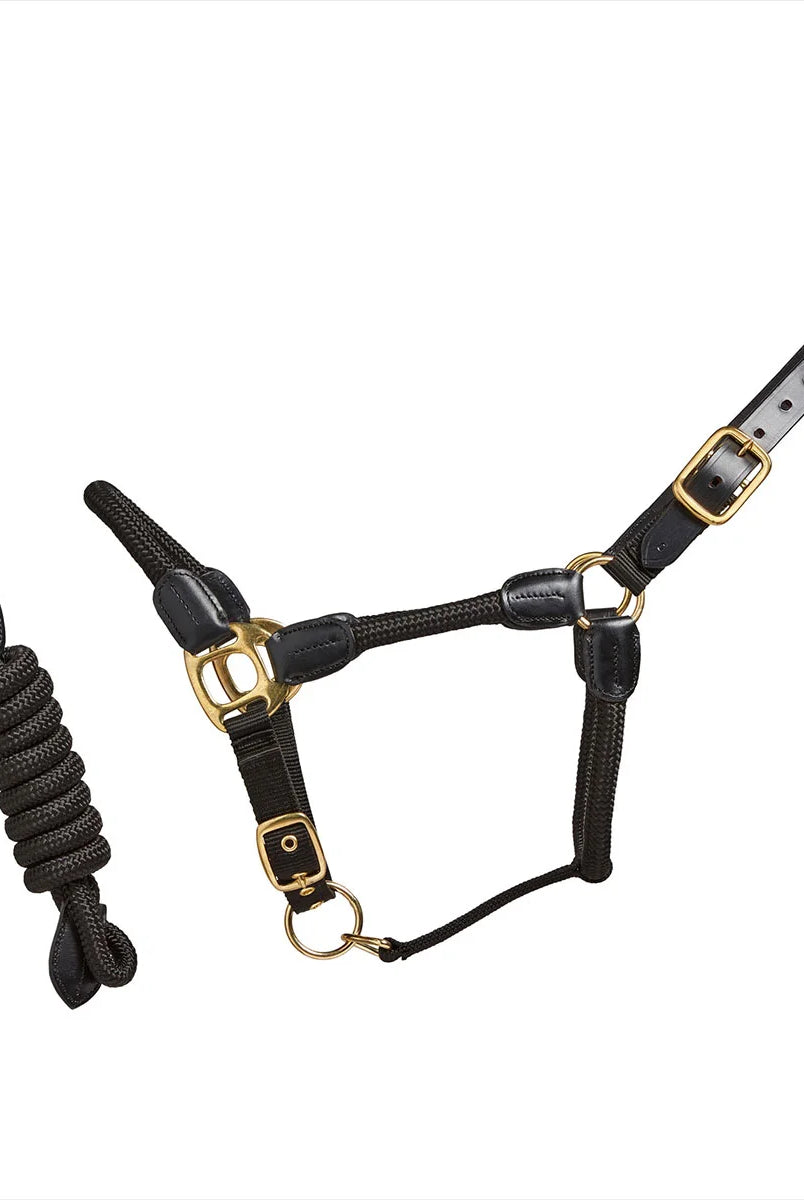 CAMEO Rope Leather Headcollar and Leadrope in Black showcasing braided yachting rope, black leather poll strap, and solid brass hardware, complete with a matching coiled leadrope and trigger clip for sensitive groundwork control and stableyard travel.