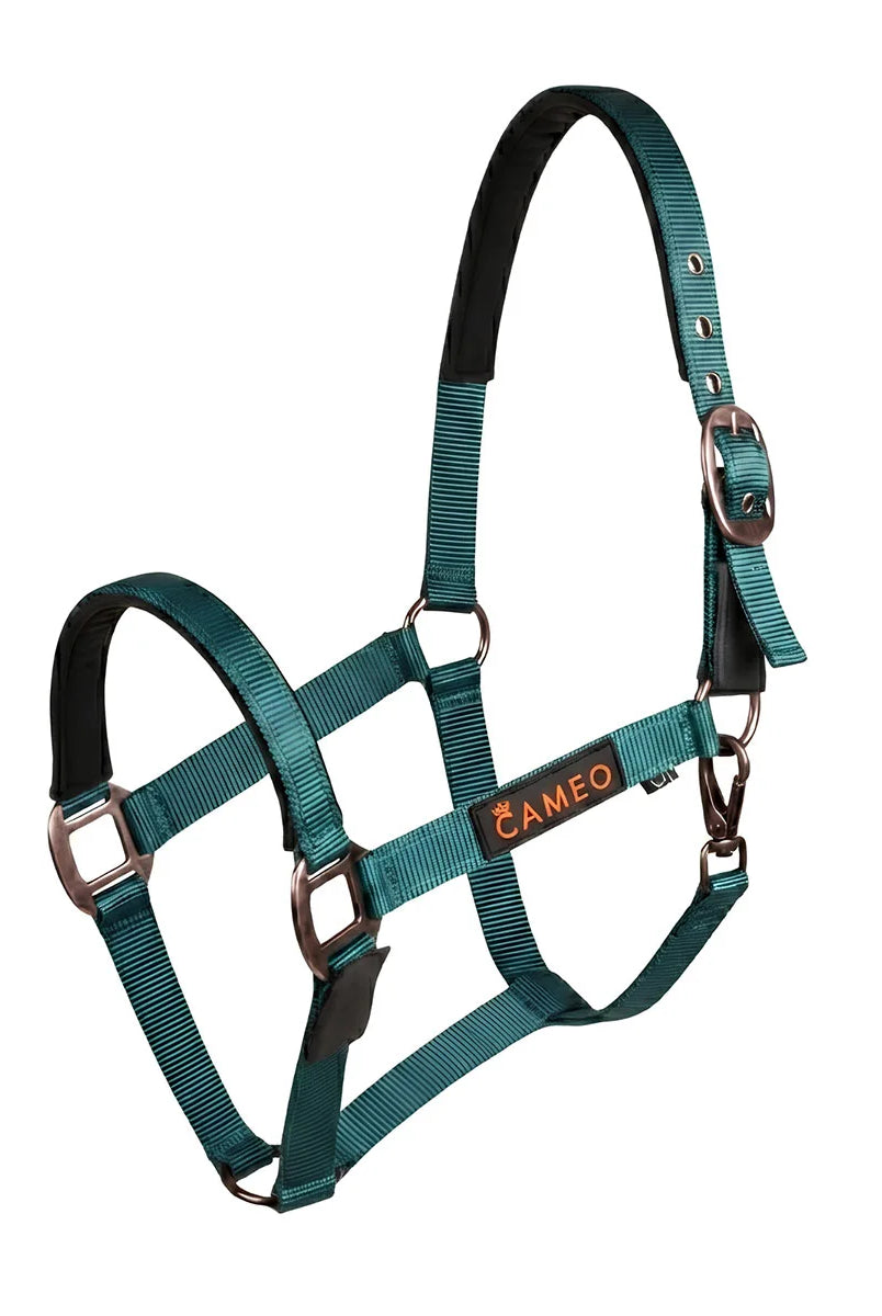 CAMEO Sentinel FieldSafe Headcollar in EverGreen showcasing integrated reflective safety yarn, anti-rub neoprene padding, and Cacao bronze-tone hardware engineered for breakaway paddock safety, low-light visibility, and comfortable turnout.