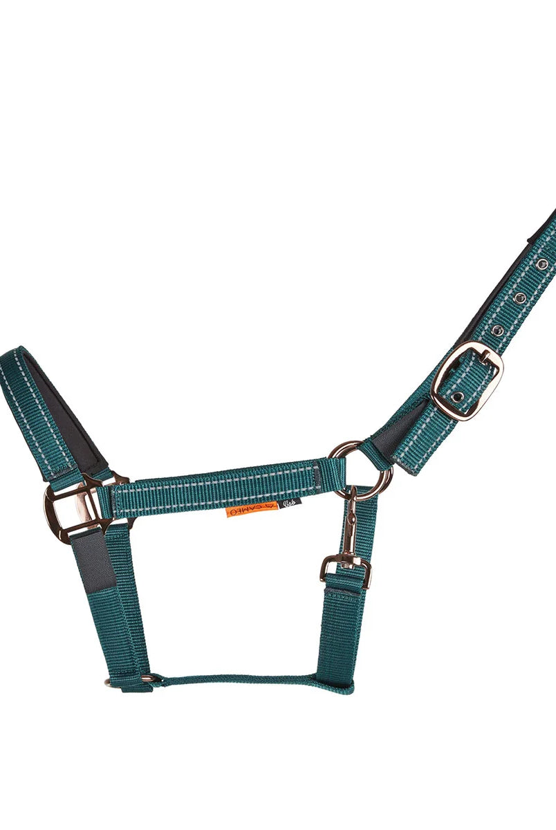 CAMEO Sentinel FieldSafe Headcollar in EverGreen shown flat-lay, showcasing the dual reflective safety stripes, Cacao bronze-tone buckle, and anti-rub neoprene padding engineered for 2-in-1 breakaway turnout safety and low-light night catching.