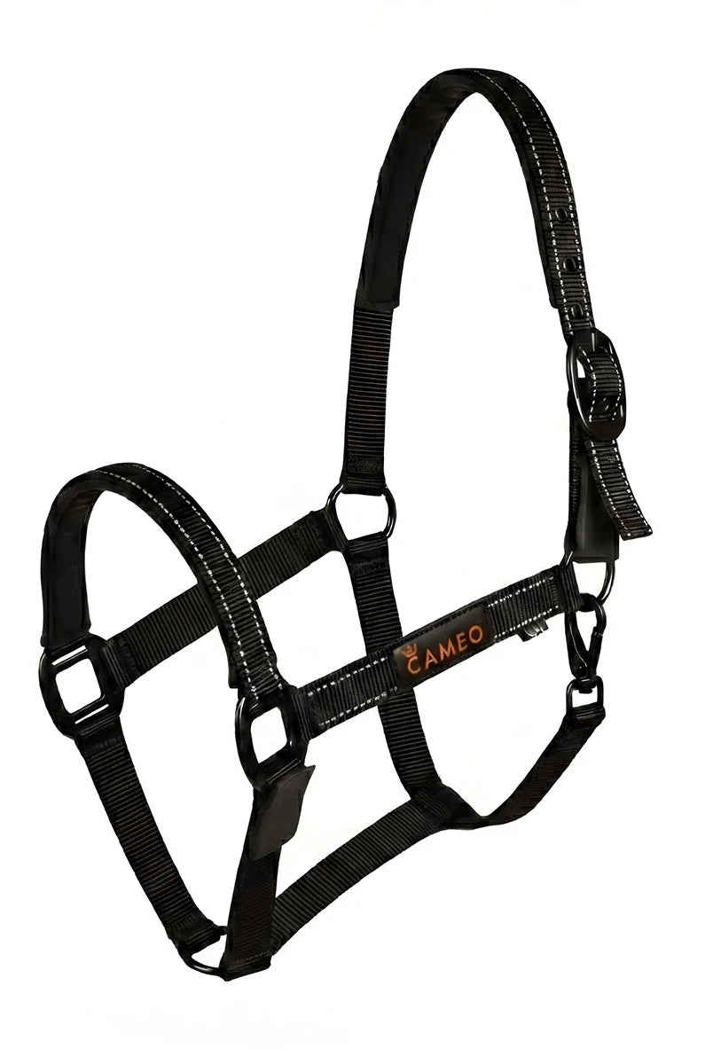 CAMEO Sentinel FieldSafe Headcollar in Black showcasing integrated reflective safety yarn, anti-rub neoprene padding, and matte black hardware engineered for breakaway paddock safety, low-light visibility, and comfortable turnout.