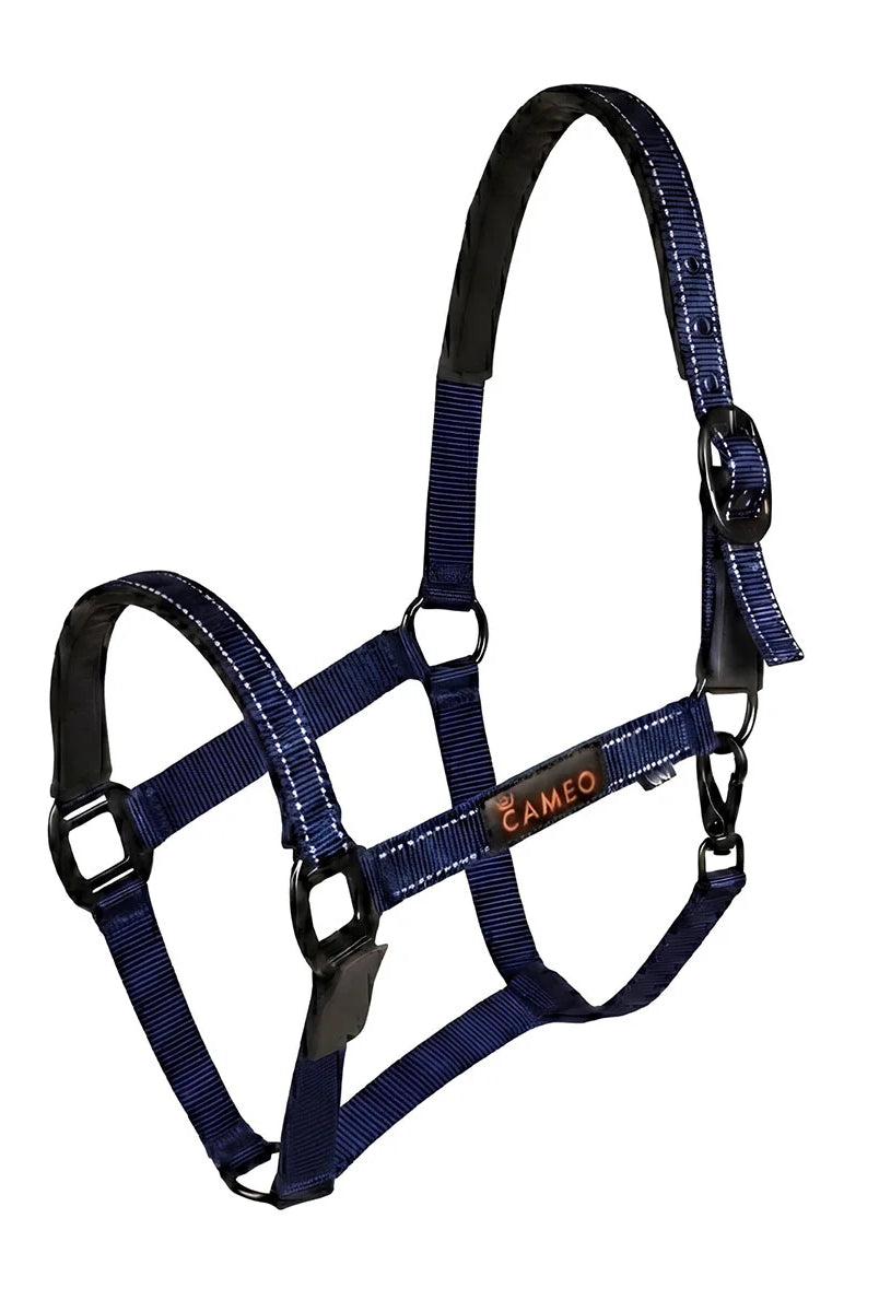 CAMEO Sentinel FieldSafe Headcollar in Navy showcasing integrated reflective safety yarn, anti-rub neoprene padding, and matte black hardware engineered for breakaway paddock safety, low-light visibility, and comfortable turnout.