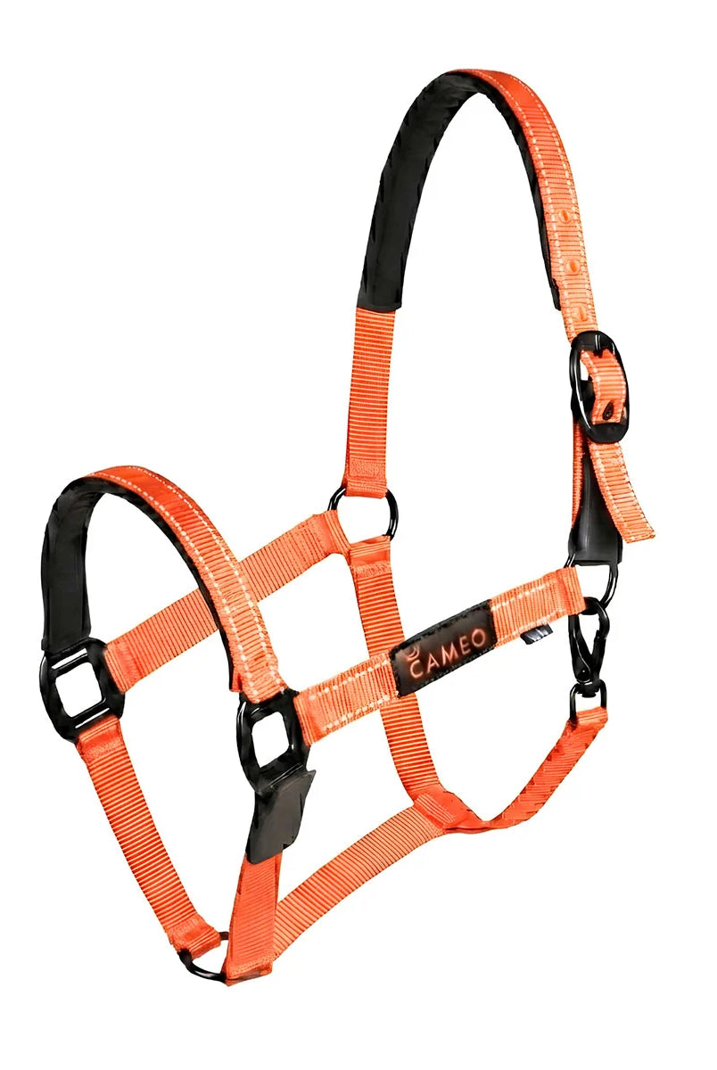 CAMEO Sentinel FieldSafe Headcollar in Orange showcasing integrated reflective safety yarn, anti-rub neoprene padding, and matte black hardware engineered for breakaway paddock safety, low-light visibility, and comfortable turnout.