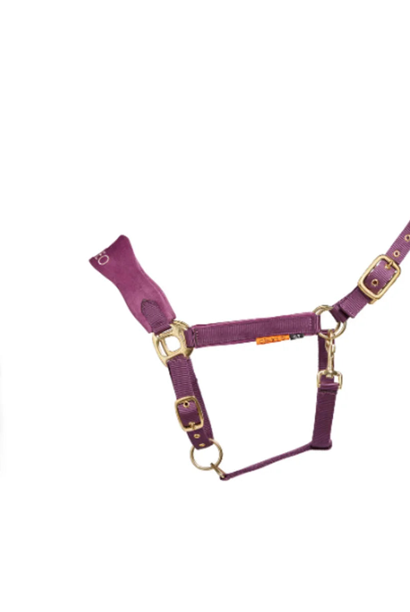 CAMEO Suede Elite Headcollar & Rope set in Deep Purple shown on a white background, showcasing the broad padded micro-suede noseband, plush crown lining, solid brass hardware, and matching twisted leadrope engineered for nasal pressure dispersal, anti-rub poll comfort, and luxury equestrian travel.