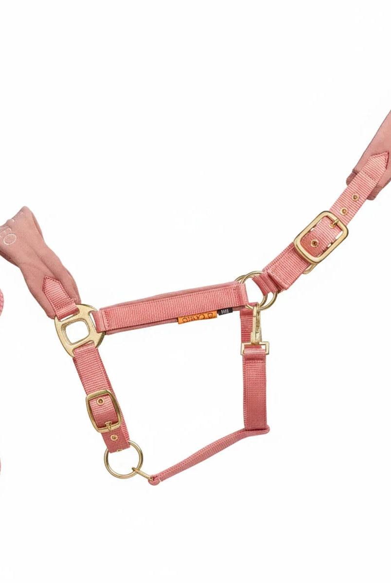 CAMEO Suede Elite Headcollar & Rope set in Dusky Pink shown on a white background, showcasing the broad padded micro-suede noseband, plush crown lining, solid brass hardware, and matching twisted leadrope engineered for nasal pressure dispersal, anti-rub poll comfort, and luxury equestrian travel.