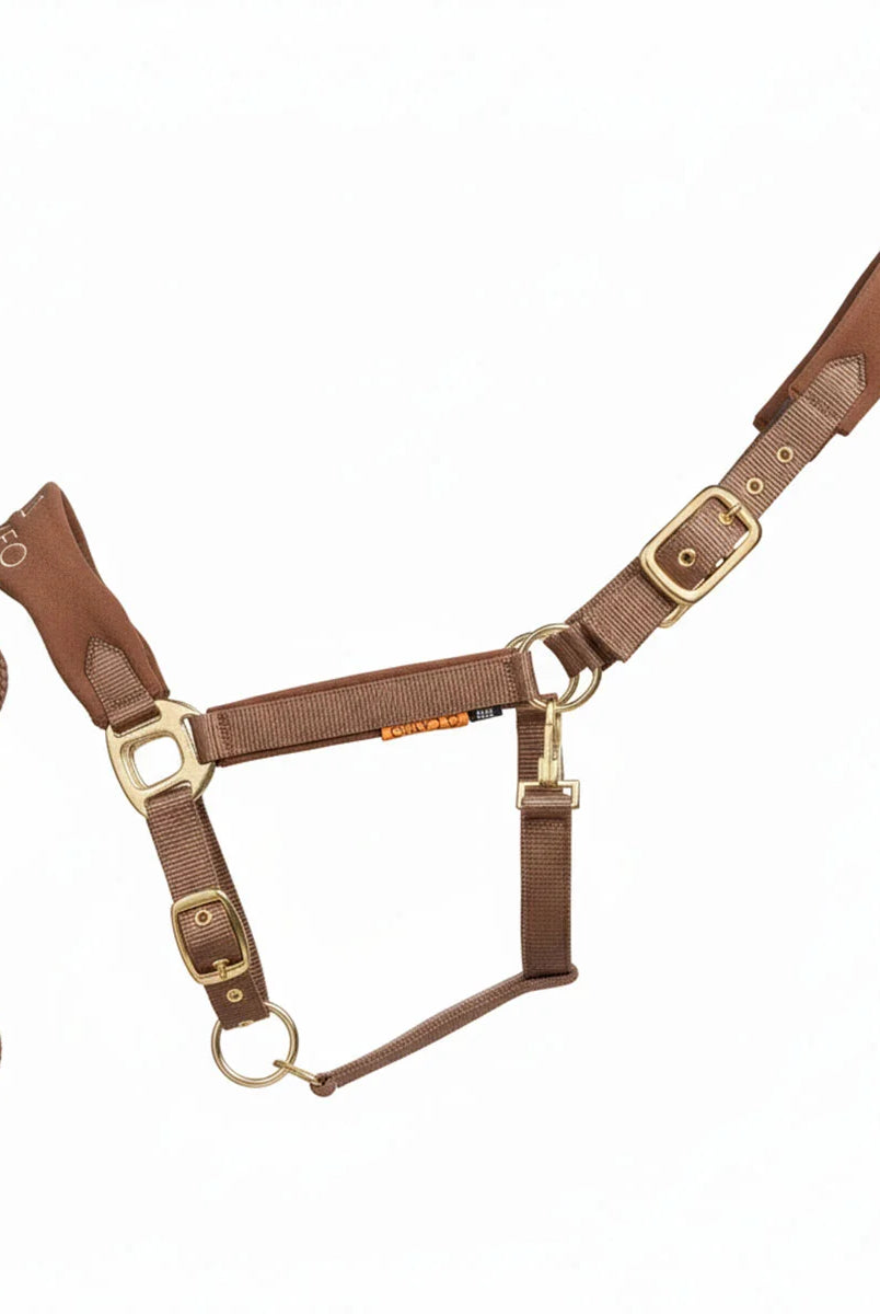 CAMEO Suede Elite Headcollar & Rope set in Mocha shown on a white background, showcasing the broad padded micro-suede noseband, plush crown lining, solid brass hardware, and matching twisted leadrope engineered for nasal pressure dispersal, anti-rub poll comfort, and luxury equestrian travel.