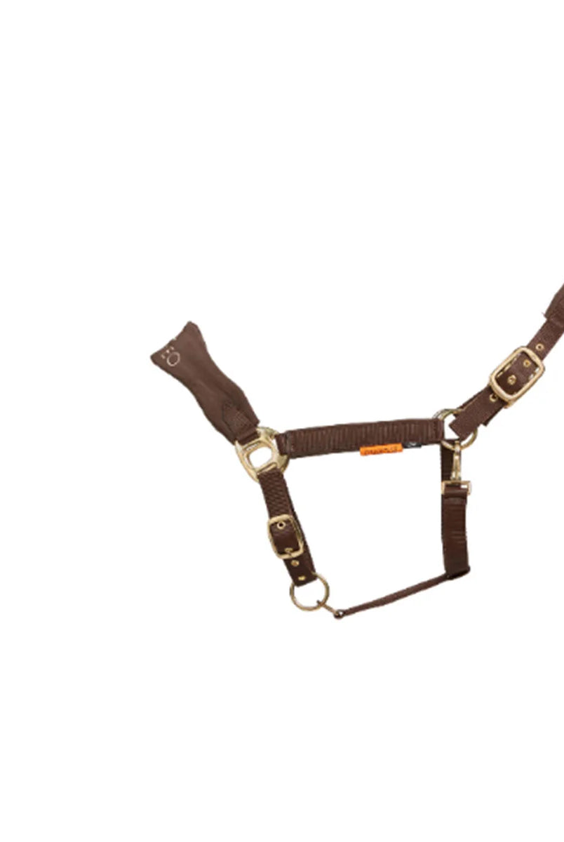 CAMEO Suede Elite Headcollar & Rope set in Mocha shown on a white background, showcasing the broad padded micro-suede noseband, plush crown lining, solid brass hardware, and matching twisted leadrope engineered for nasal pressure dispersal, anti-rub poll comfort, and luxury equestrian travel.