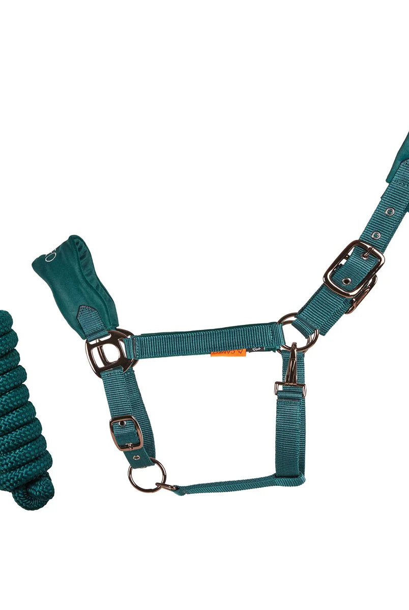 CAMEO Suede Elite Headcollar & Rope set in Evergreen shown on a white background, showcasing the broad padded micro-suede noseband, plush crown lining, Cacao bronze hardware, and matching twisted leadrope engineered for nasal pressure dispersal, anti-rub poll comfort, and luxury equestrian travel.
