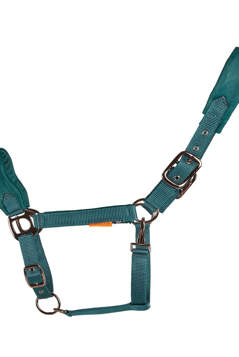CAMEO Suede Elite Headcollar & Rope set in Evergreen shown flat-lay, showcasing the broad padded micro-suede noseband with embroidered logo, plush crown lining, and Cacao bronze hardware engineered for nasal pressure dispersal, anti-rub poll comfort, and luxury equestrian travel presentation.