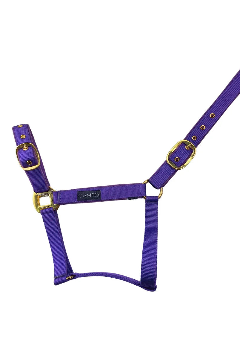 CAMEO Suede Padded Headcollar in Deep Purple featuring ultra-soft anti-rub micro-suede cushioning on the noseband and poll. This technical equestrian headcollar includes classic brass anti-rust hardware with dual-point adjustability for a secure fit on sensitive horses during turnout or travel.