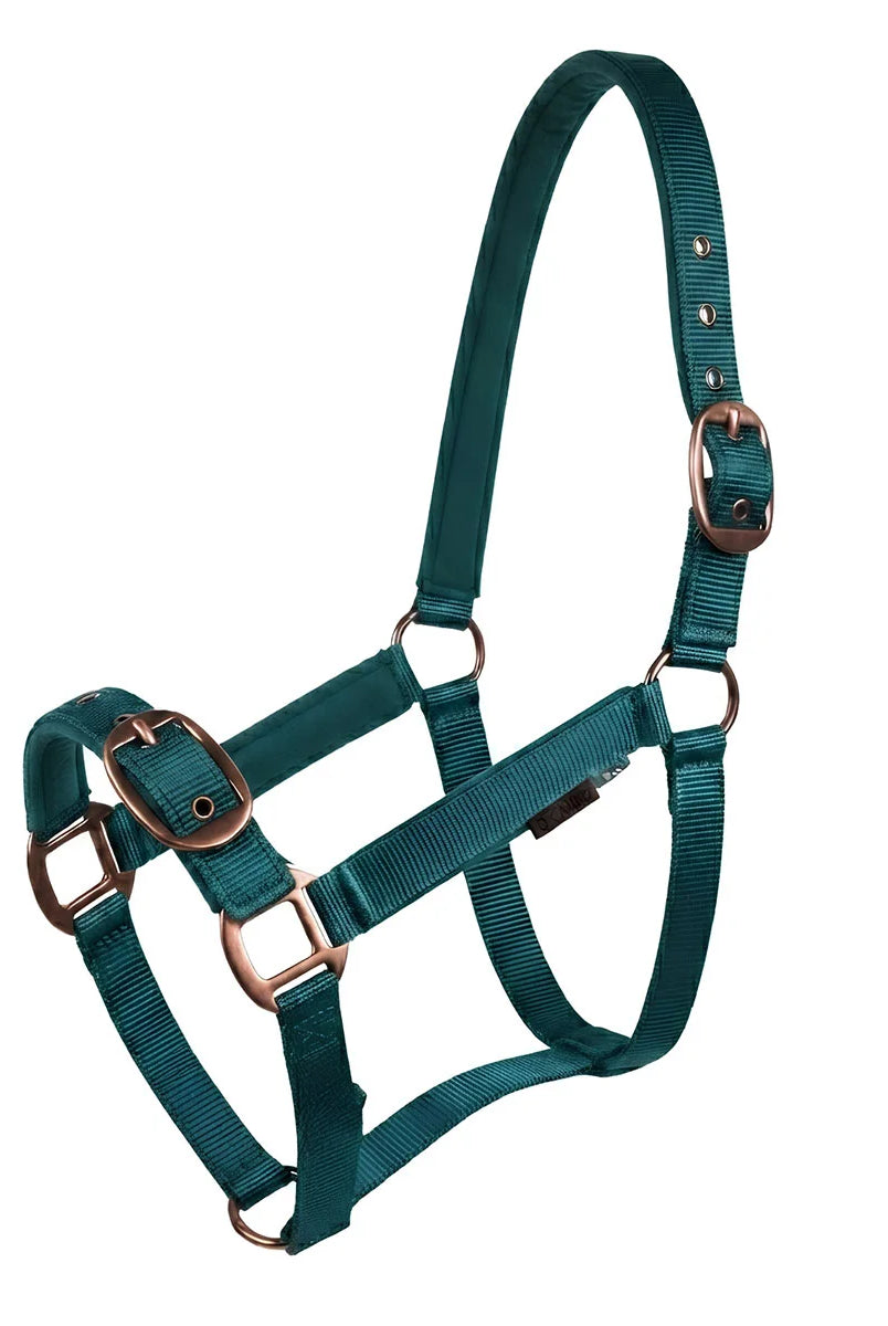CAMEO Suede Padded Headcollar in EverGreen shown on a white background, showcasing the dual-adjustable buckles, reinforced metal eyelets, Cacao bronze hardware, and soft micro-suede padding engineered for anti-rub comfort, nasal pressure relief, and dependable daily leading and horse turnout.