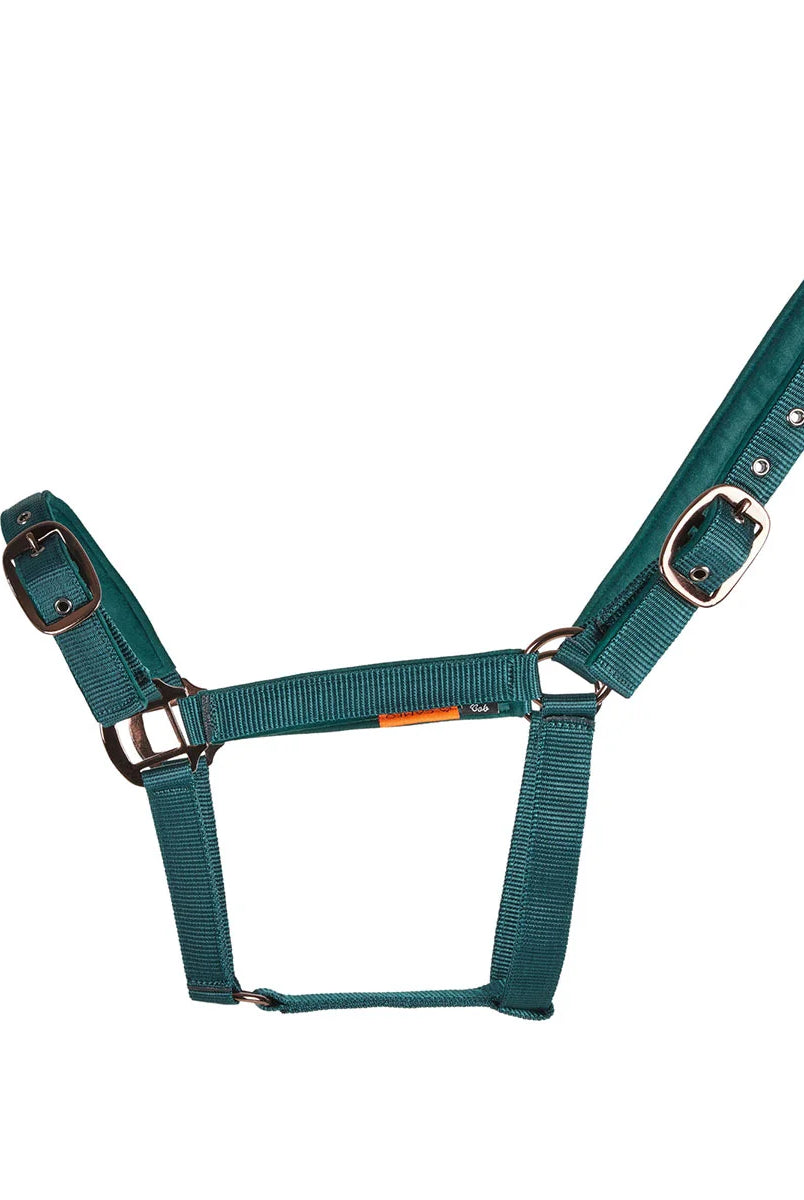 CAMEO Suede Padded Headcollar in EverGreen featuring signature Cacao bronze-tone anti-rust hardware. This technical equestrian headpiece is lined with ultra-soft, anti-rub micro-suede padding on the poll and noseband to prevent chafing for sensitive horses during stable use, turnout, or travel.