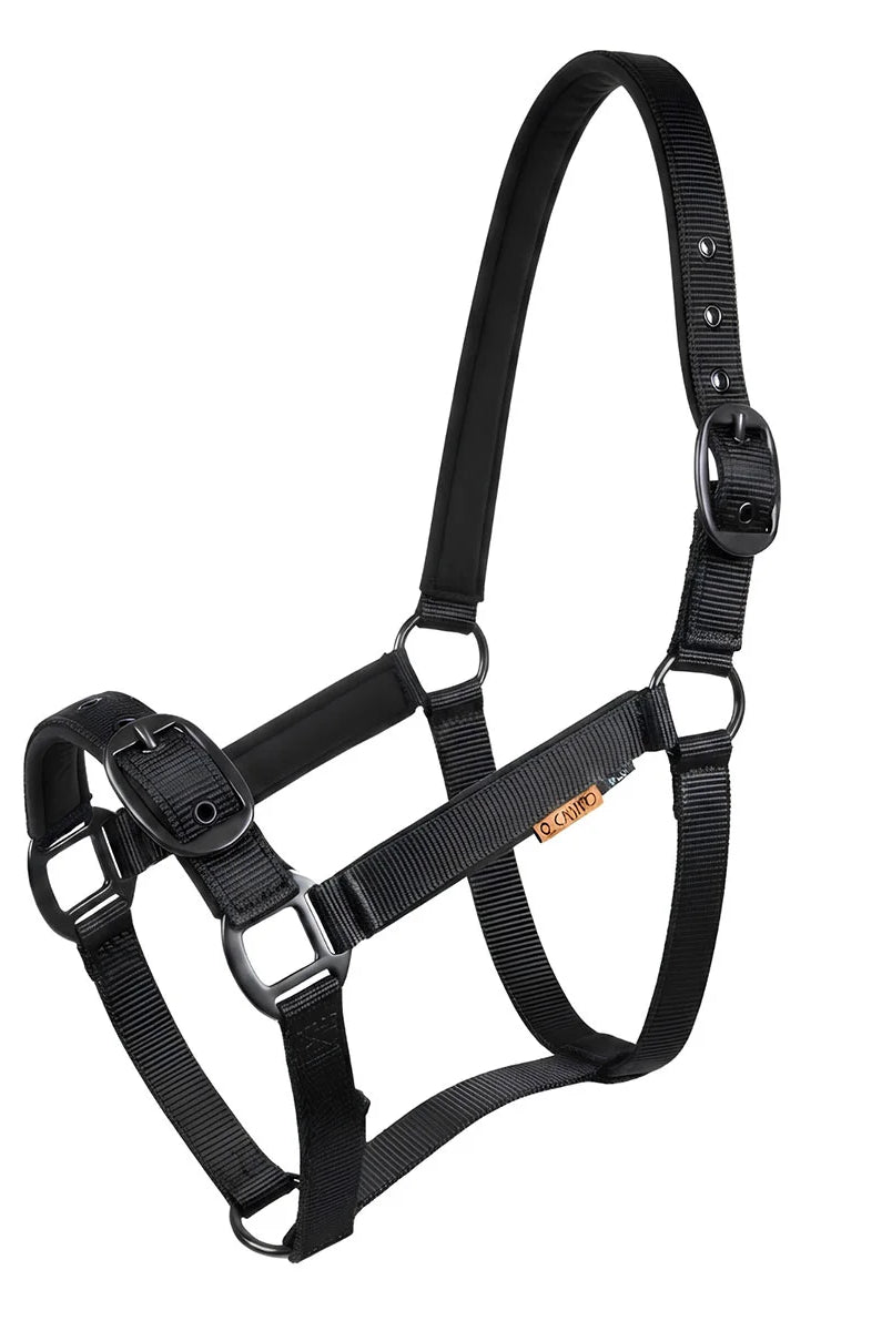 CAMEO Suede Padded Headcollar in Black shown on a white background, showcasing the dual-adjustable buckles, reinforced metal eyelets, matte black hardware, and soft micro-suede padding engineered for anti-rub comfort, nasal pressure relief, and dependable daily leading and horse turnout.