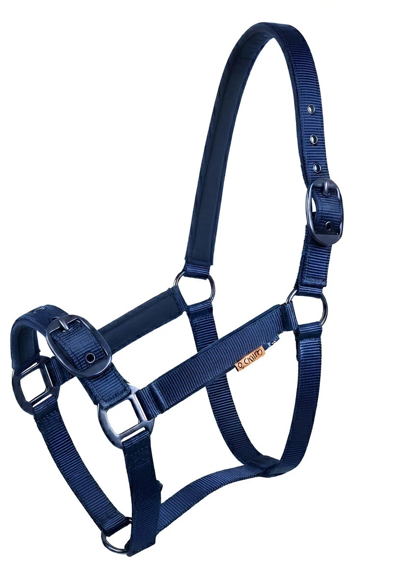 CAMEO Suede Padded Headcollar in Navy shown on a white background, showcasing the dual-adjustable buckles, reinforced metal eyelets, matte black hardware, and plush micro-suede padding engineered for anti-rub comfort, nasal pressure relief, and dependable daily leading and horse turnout.
