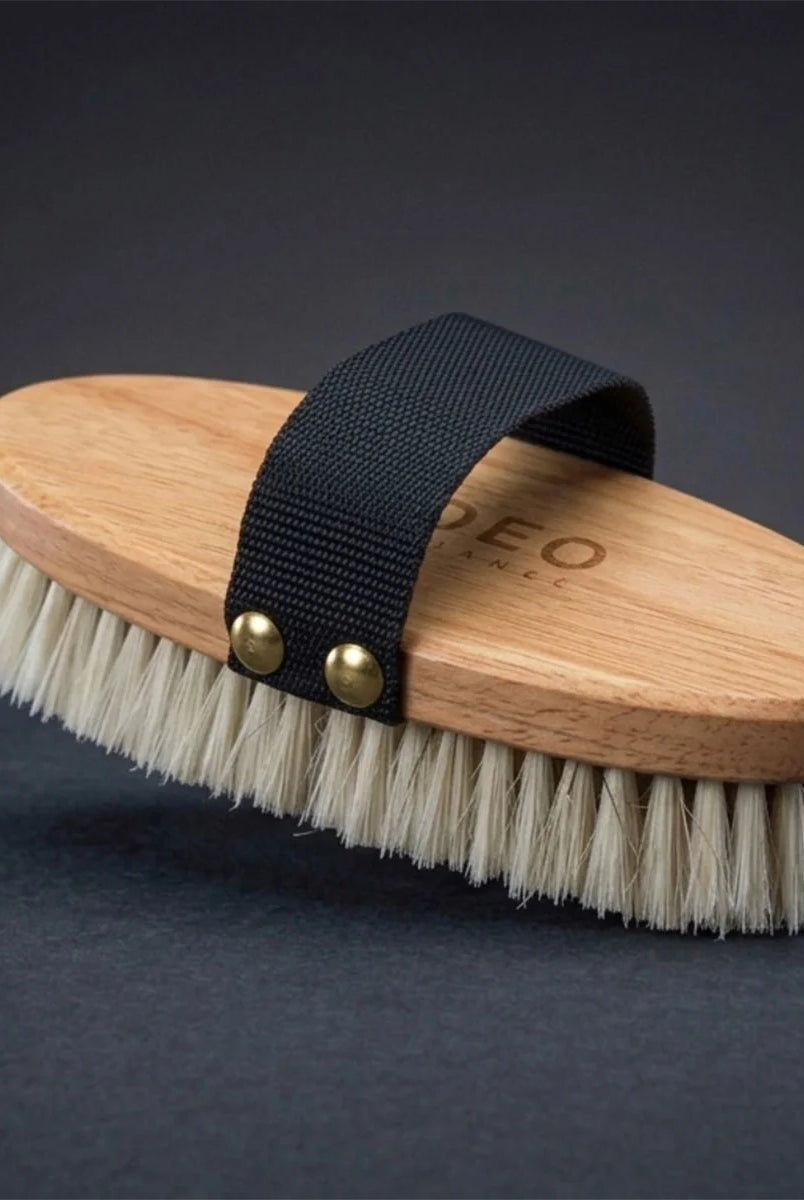 CAMEO The Finishing Touch Body Brush in Maple on a studio background featuring brass-riveted webbing and soft horsehair.