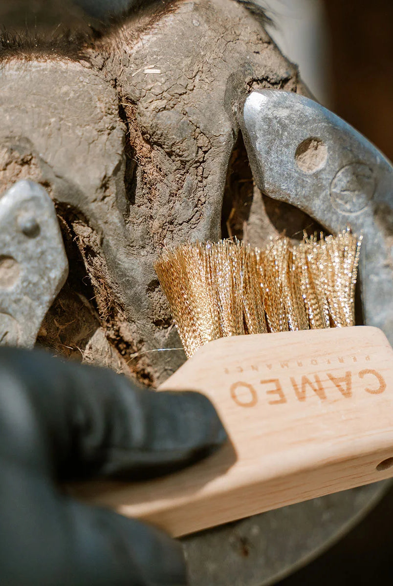 CAMEO The Hoof Hero Elite Edition in Natural Wood in use scrubbing dirt and grit from around a shod horse hoof frog.