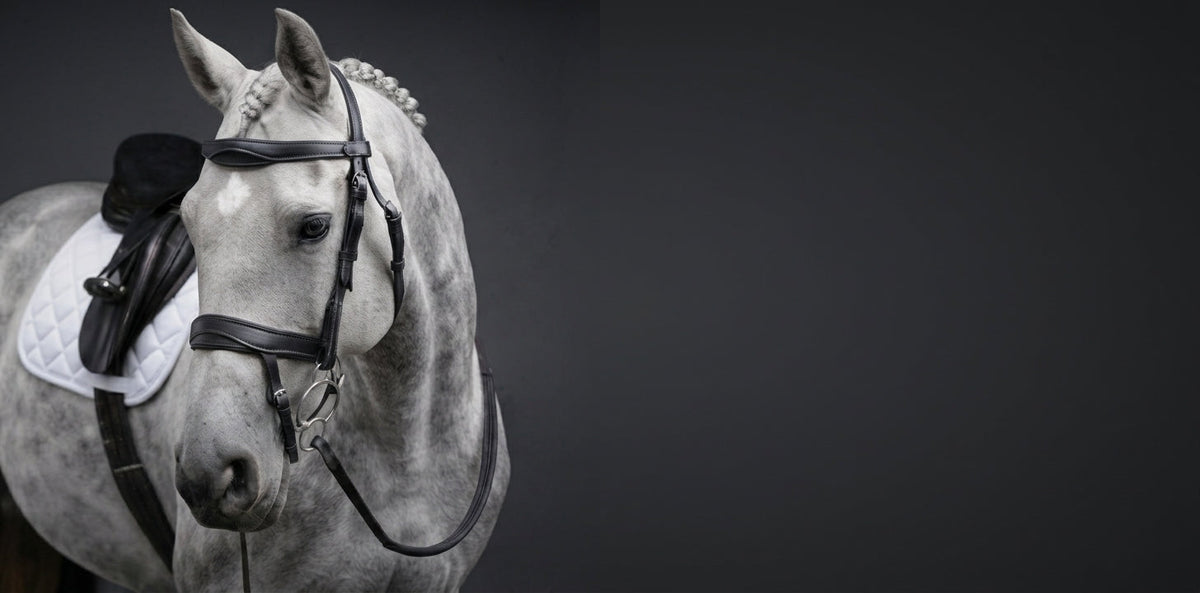 Meet ComfortPro: Thoughtful Leatherwork for Everyday Riding and Competition