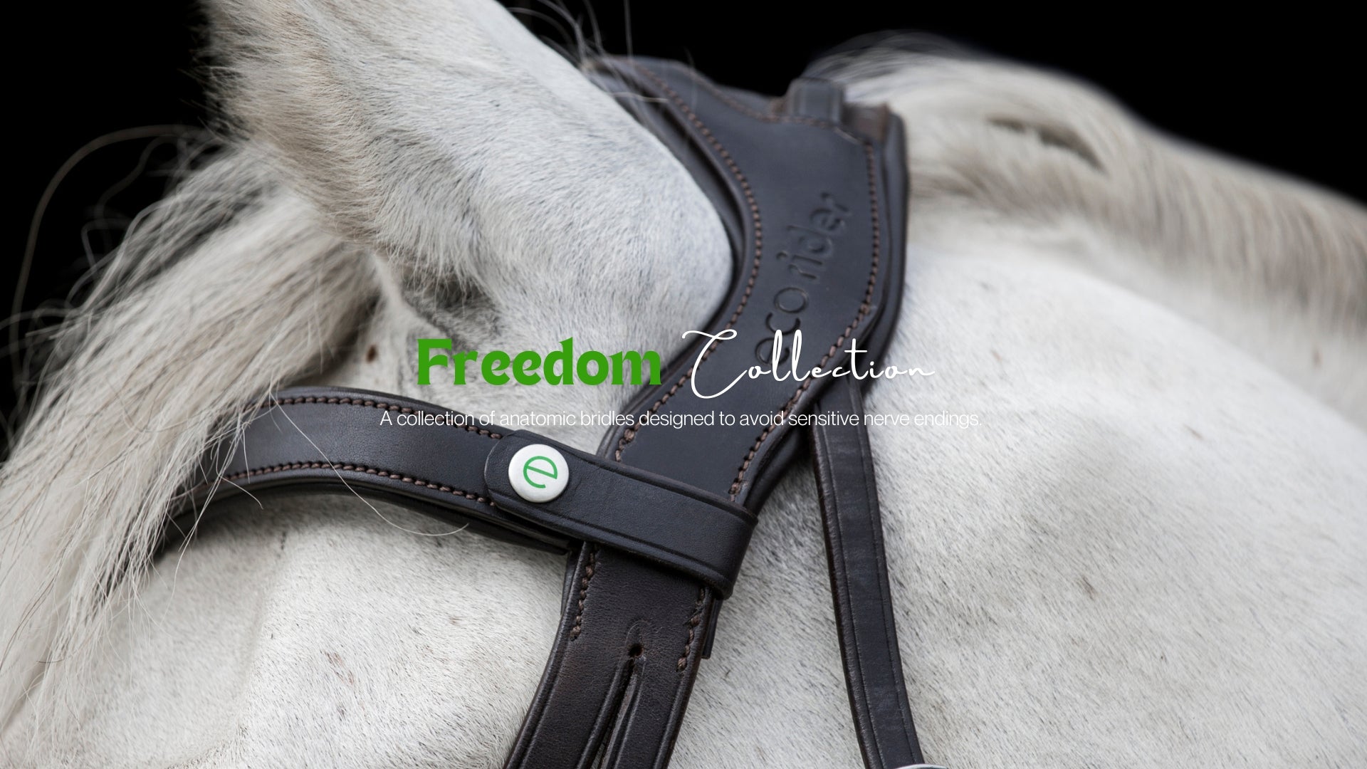Freedom Bridles