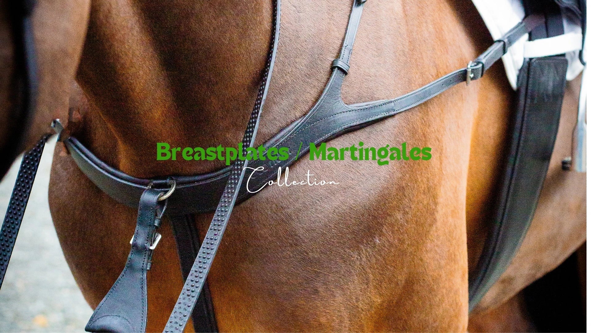 Breastplates/ Martingales