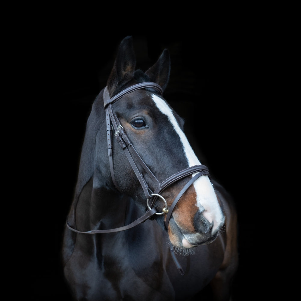 Anatomic Comfort Bridle