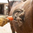 A close-up action shot of a horse grooming brush being used on a brown horse's back. A person's hand wearing a yellow leather protective glove holds the brush, which has an orange handle and a black metal bristle head clogged with loose horse fur.