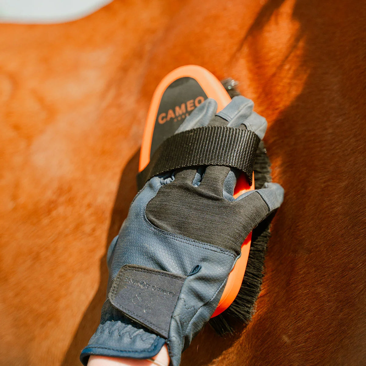 CAMEO Body Brush in Orange in use grooming a chestnut horse coat to sweep away fine dust and enhance natural shine.